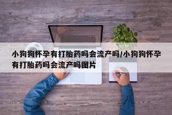 流产药购买方式资讯 第17页
