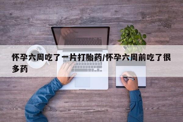 流产药购买方式怀孕六周吃了一片打胎药/怀孕六周前吃了很多药