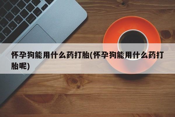 流产药购买方式怀孕狗能用什么药打胎(怀孕狗能用什么药打胎呢)