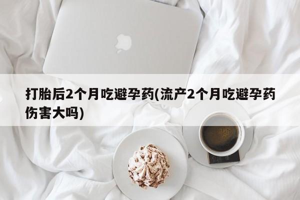 流产药购买方式打胎后2个月吃避孕药(流产2个月吃避孕药伤害大吗)